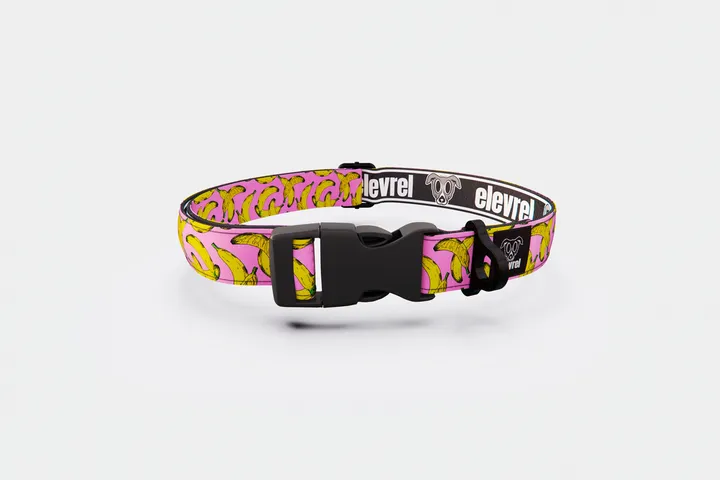 Complementos para mascotas